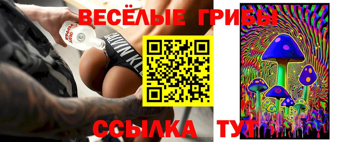 Пыть-Ях  Галлюциногенные грибы прущие грибы  Вход с VPN 